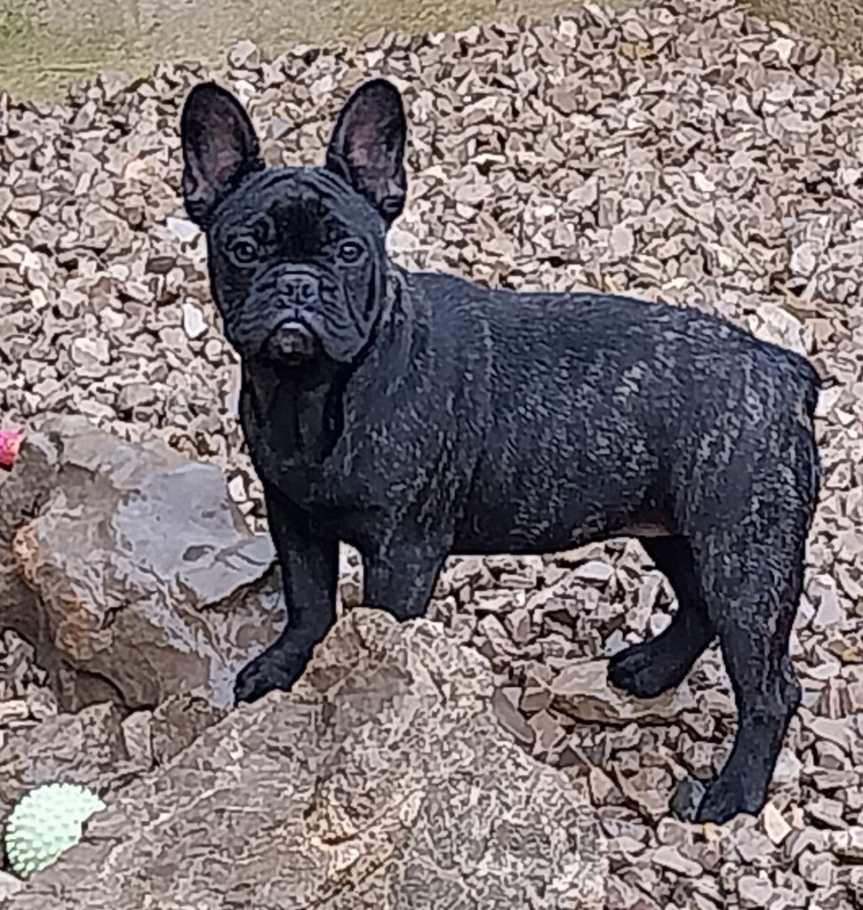 Du Mas Des Petites Garrigues Saly
